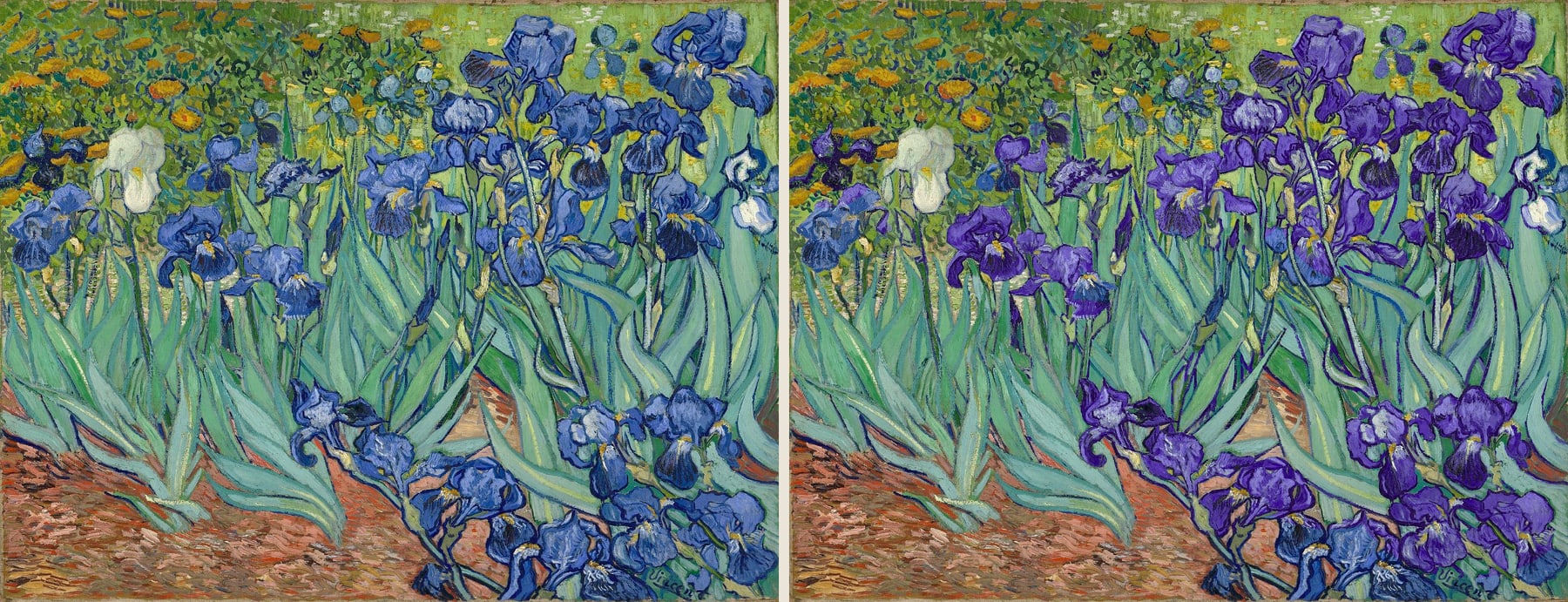 The Irises painting shown twice side by side. In the left copy the flowers are blue; in the right copy the same flowers are violet, while leaves, path, and marigolds are unchanged.