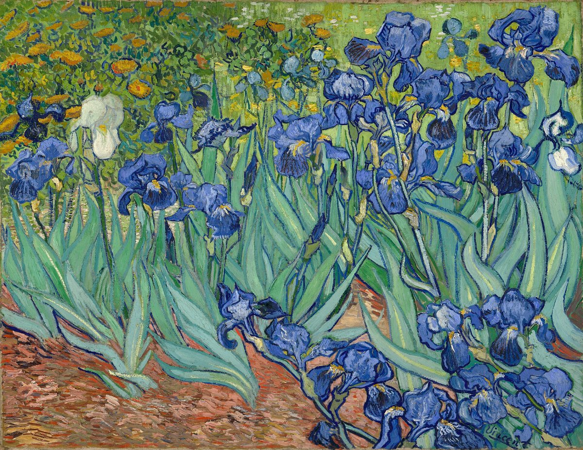 Vincent van Gogh's Irises: a dense bed of blue iris flowers with long blue-green leaves, an orange earth path, and a band of yellow-orange marigolds along the top.